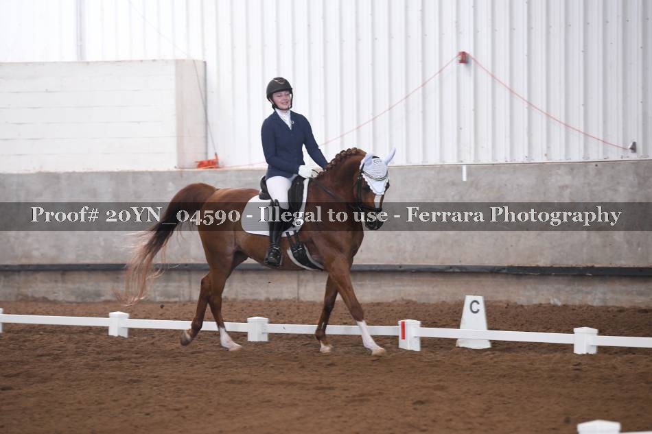 Proof 20YN_04590