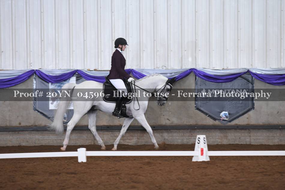Proof 20YN_04596