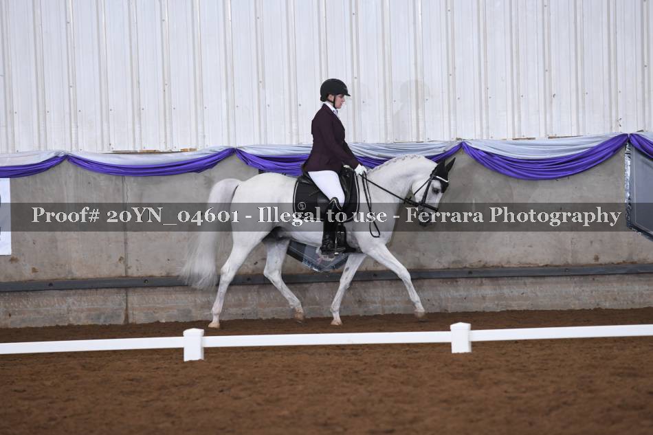 Proof 20YN_04601
