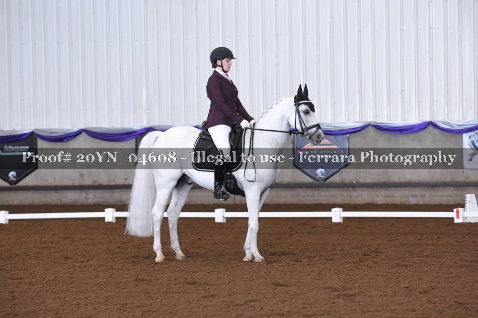 Proof 20YN_04608