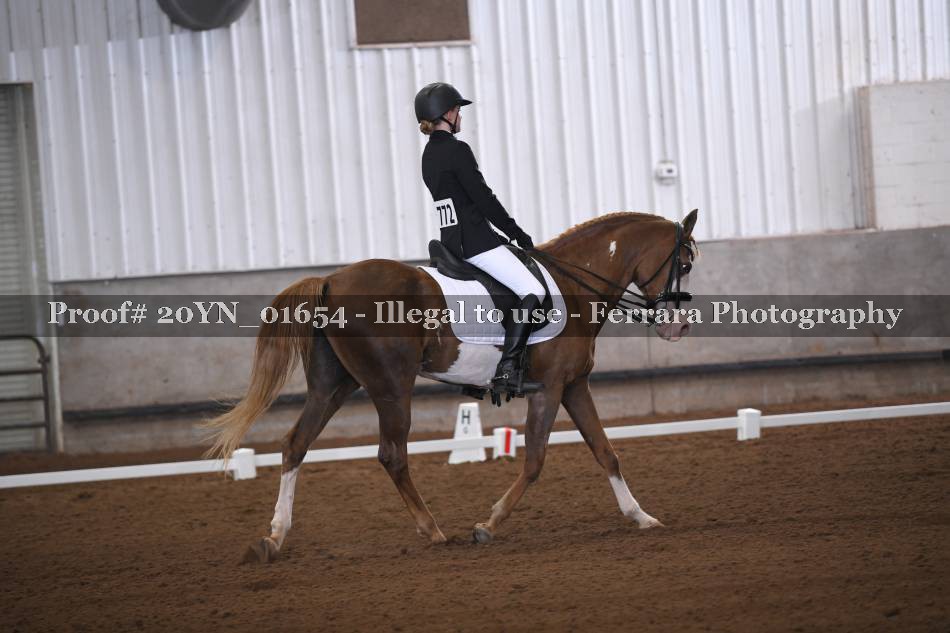 Proof 20YN_01654
