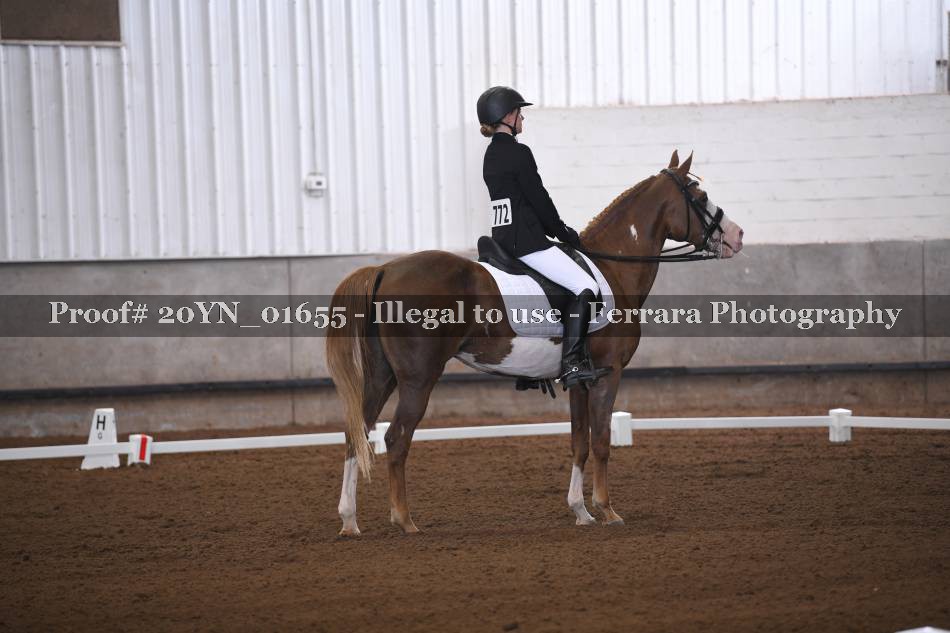 Proof 20YN_01655