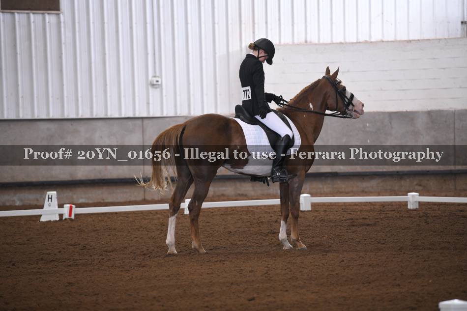 Proof 20YN_01656