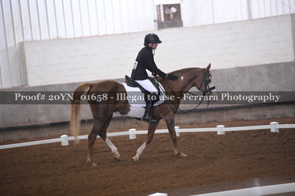 Proof 20YN_01658