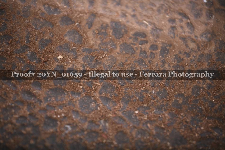 Proof 20YN_01659