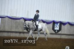 20YN_12703 proof