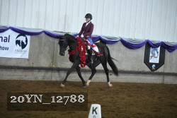 20YN_12788 proof