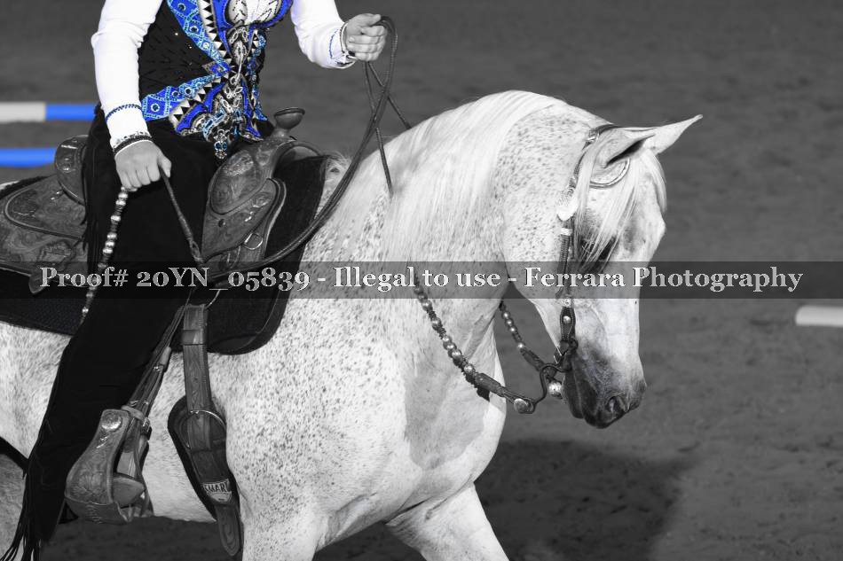 Proof 20YN_05839