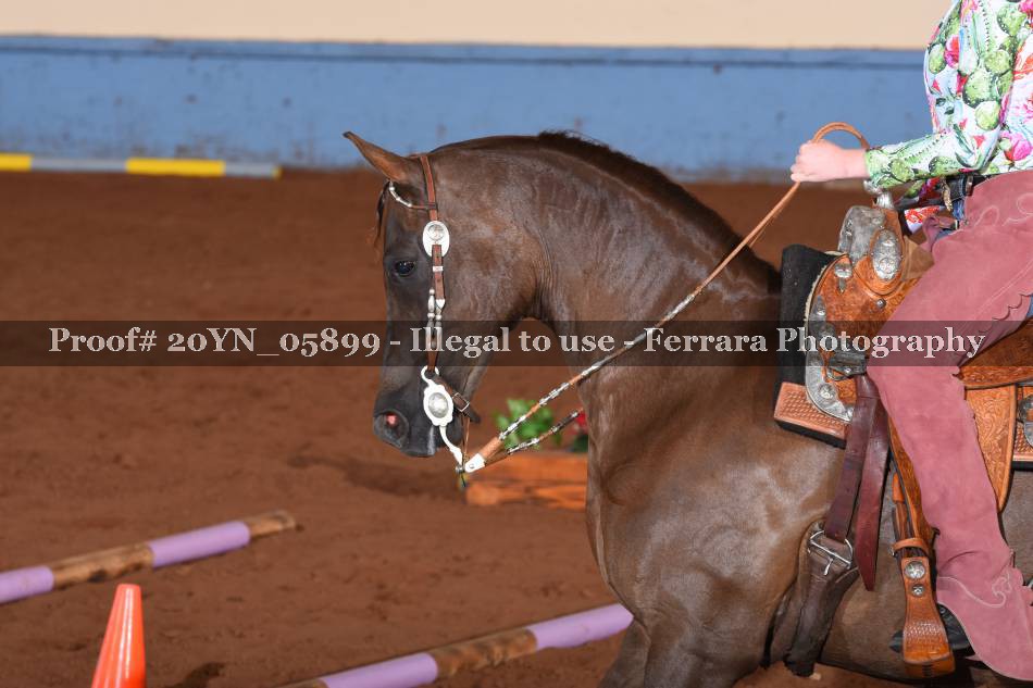 Proof 20YN_05899