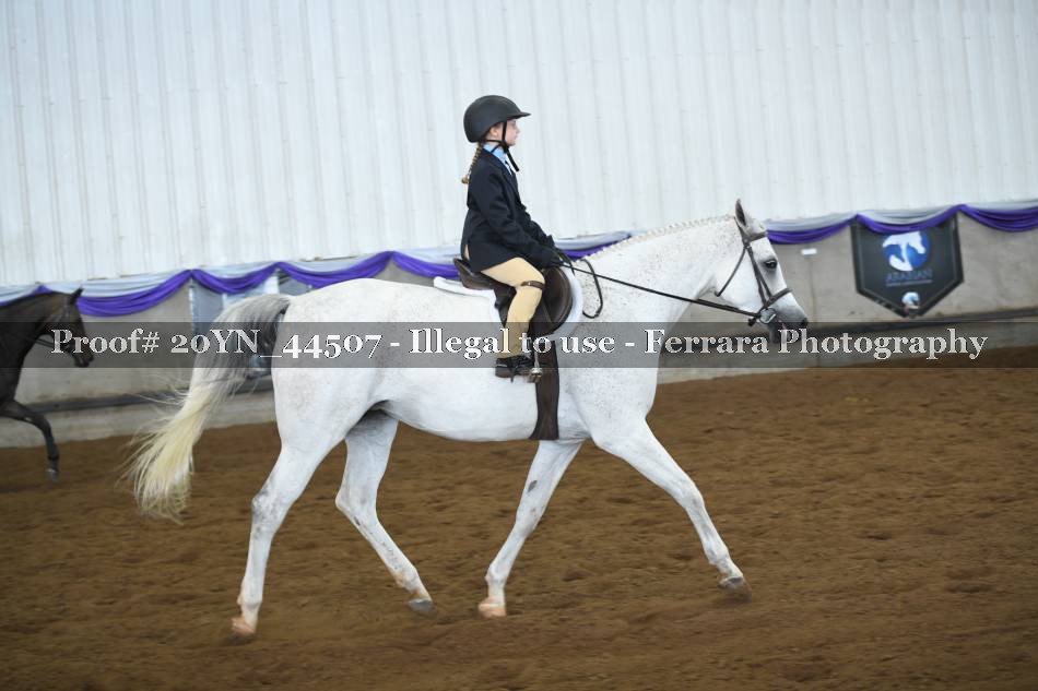 Proof 20YN_44507