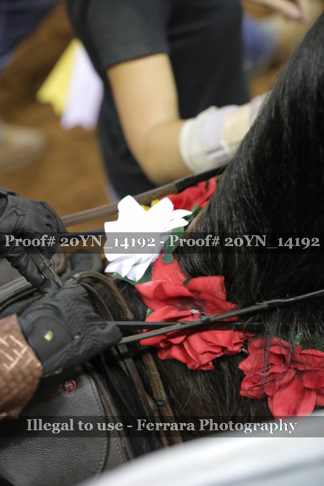 Proof 20YN_14192
