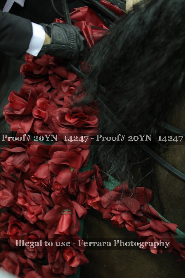 Proof 20YN_14247