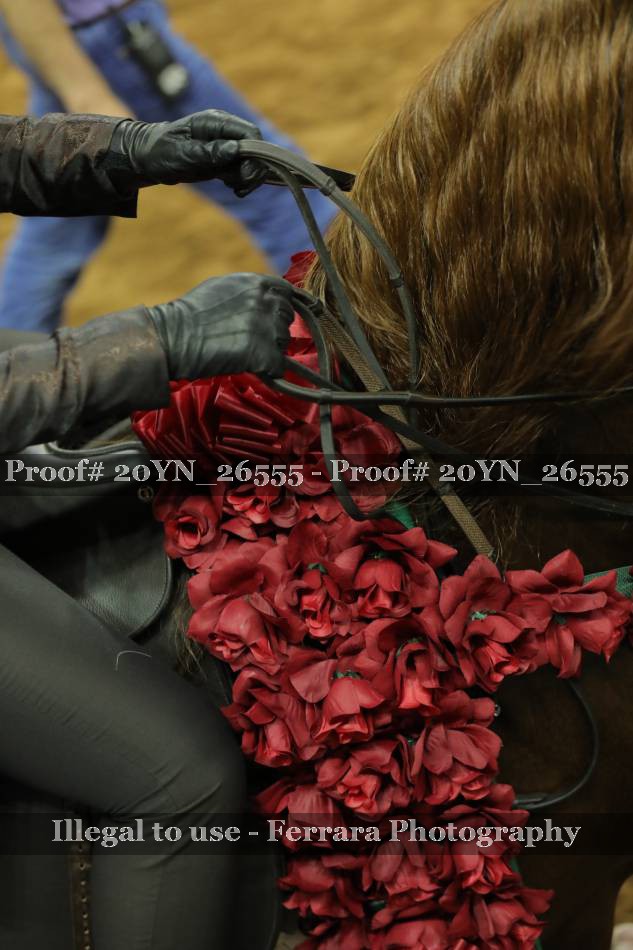 Proof 20YN_26555