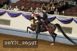20YN_26591 proof