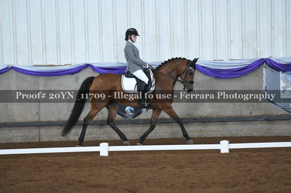 Proof 20YN_11709