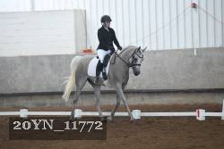 20YN_11772 proof