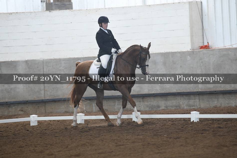 Proof 20YN_11795