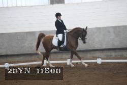 20YN_11800 proof