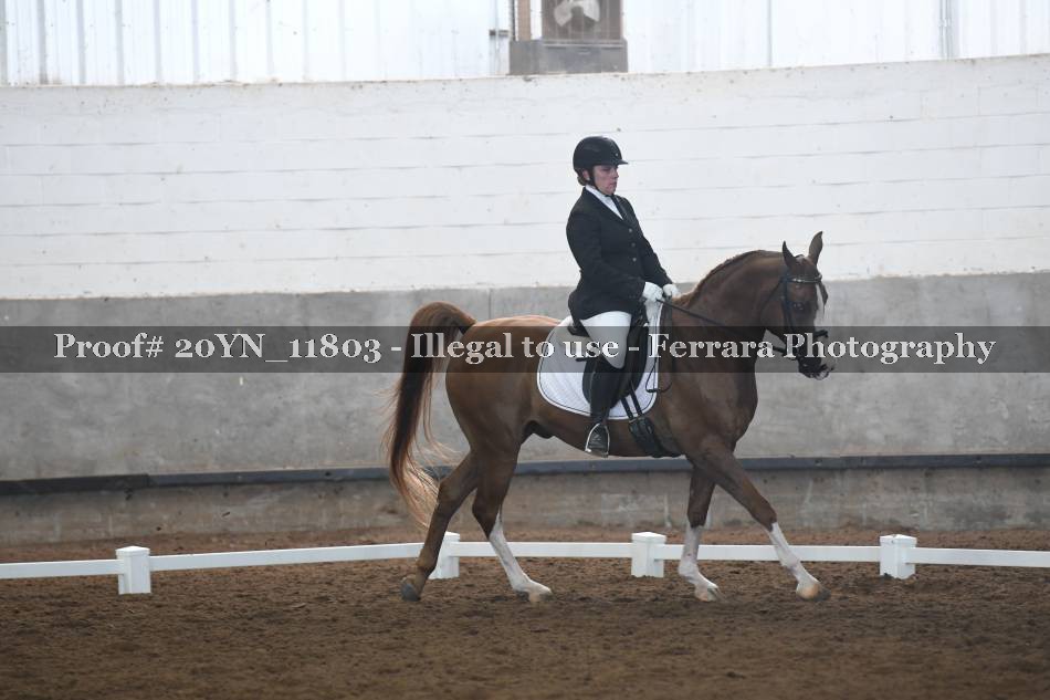 Proof 20YN_11803