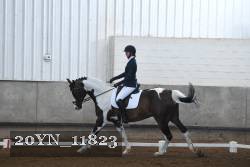20YN_11823 proof