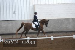 20YN_11834 proof