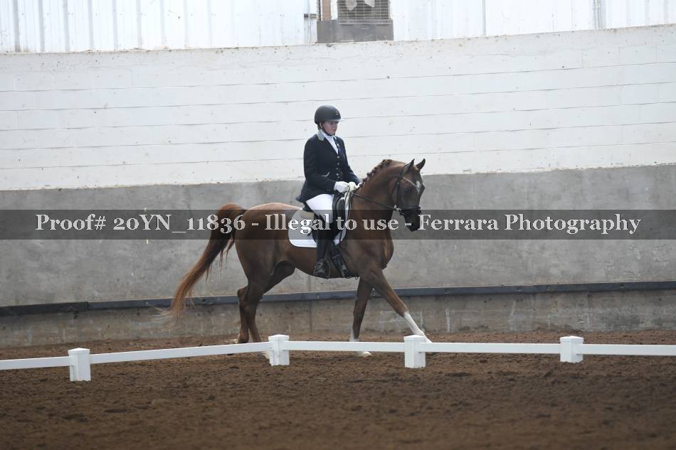 Proof 20YN_11836