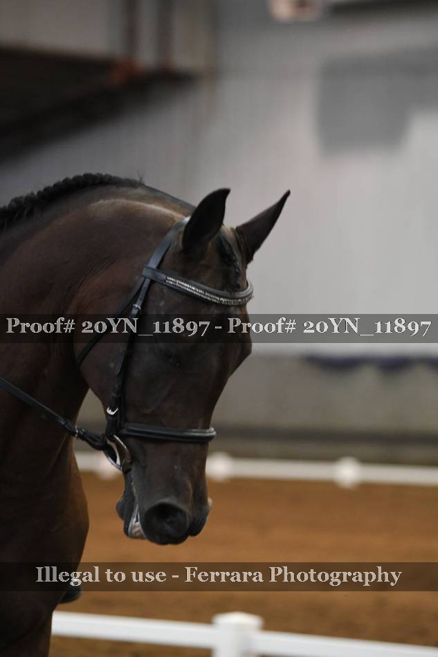 Proof 20YN_11897