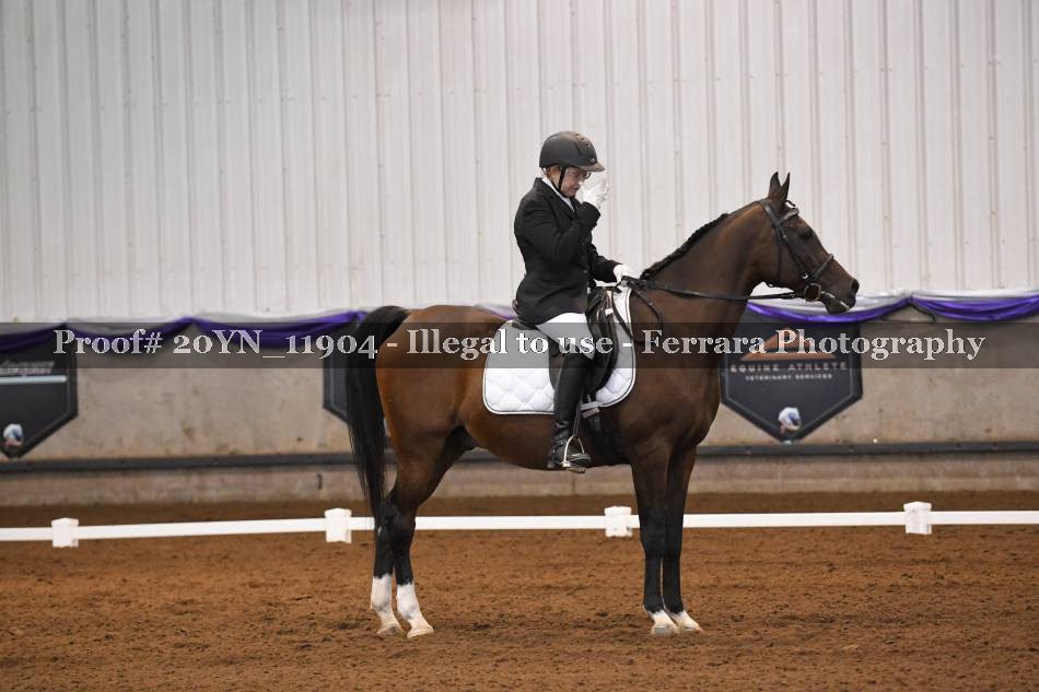 Proof 20YN_11904