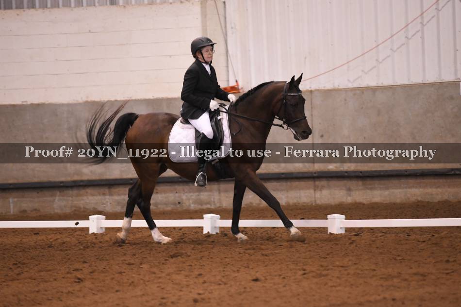 Proof 20YN_11922