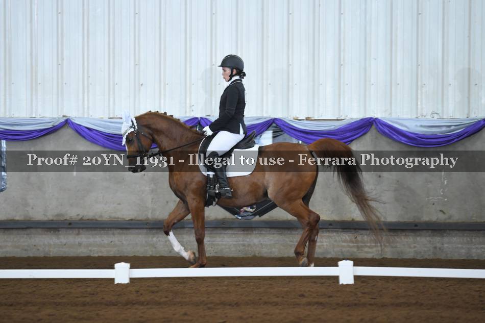 Proof 20YN_11931