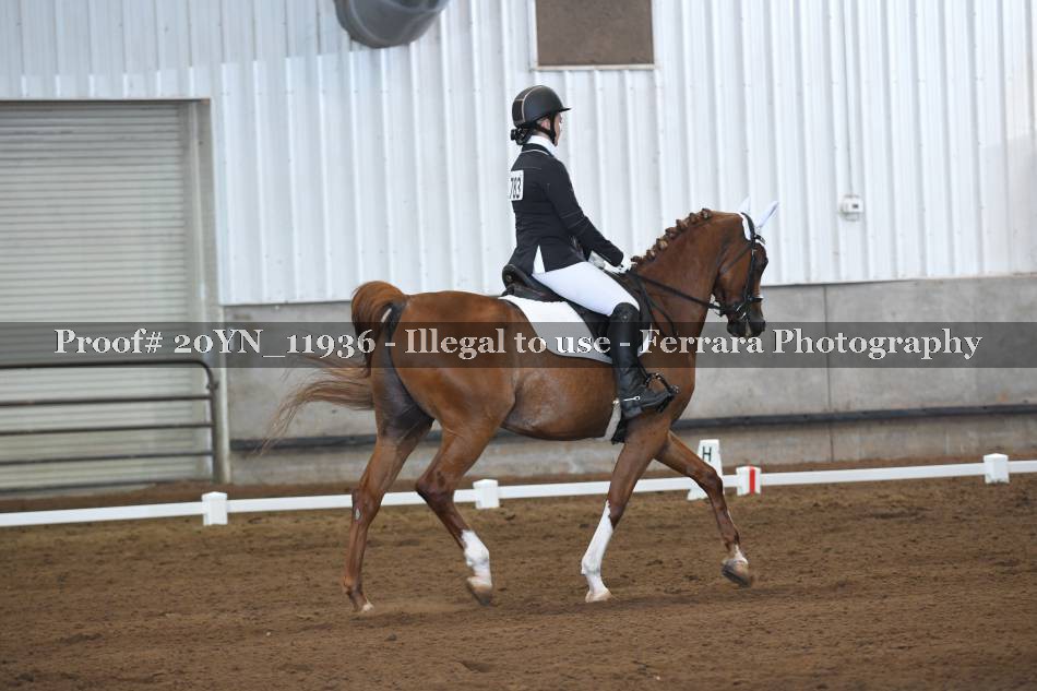 Proof 20YN_11936