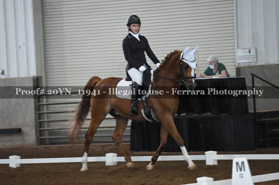 Proof 20YN_11941