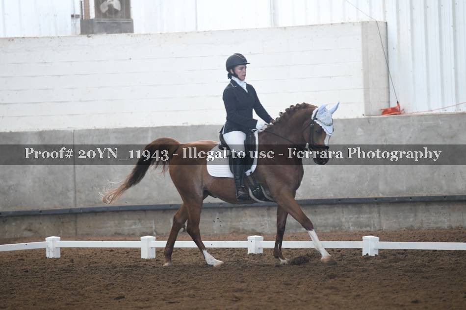 Proof 20YN_11943