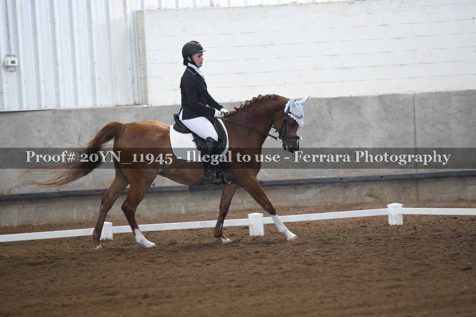 Proof 20YN_11945