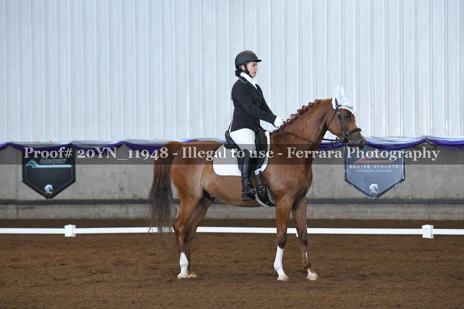 Proof 20YN_11948