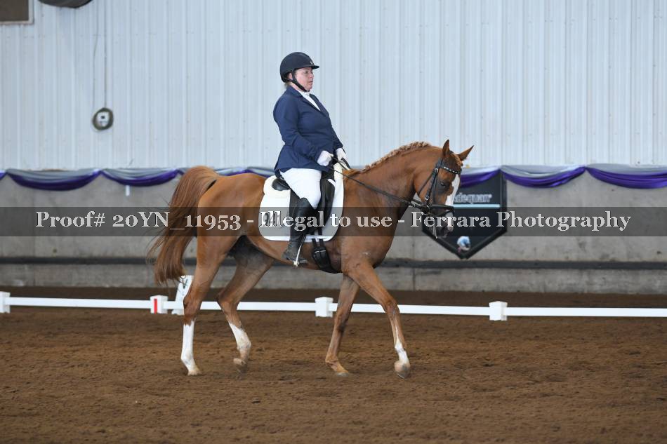 Proof 20YN_11953