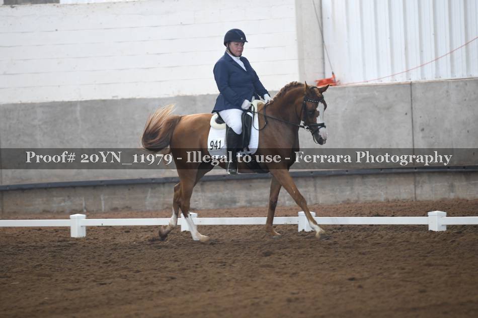 Proof 20YN_11979