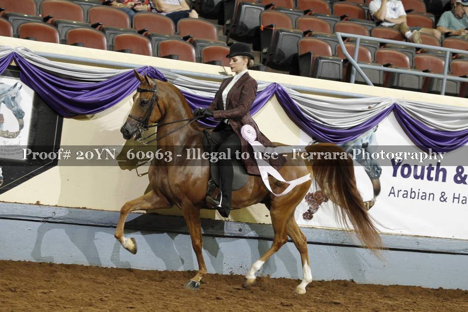 Proof 20YN_60963