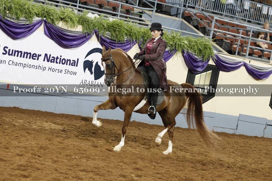 Proof 20YN_65609