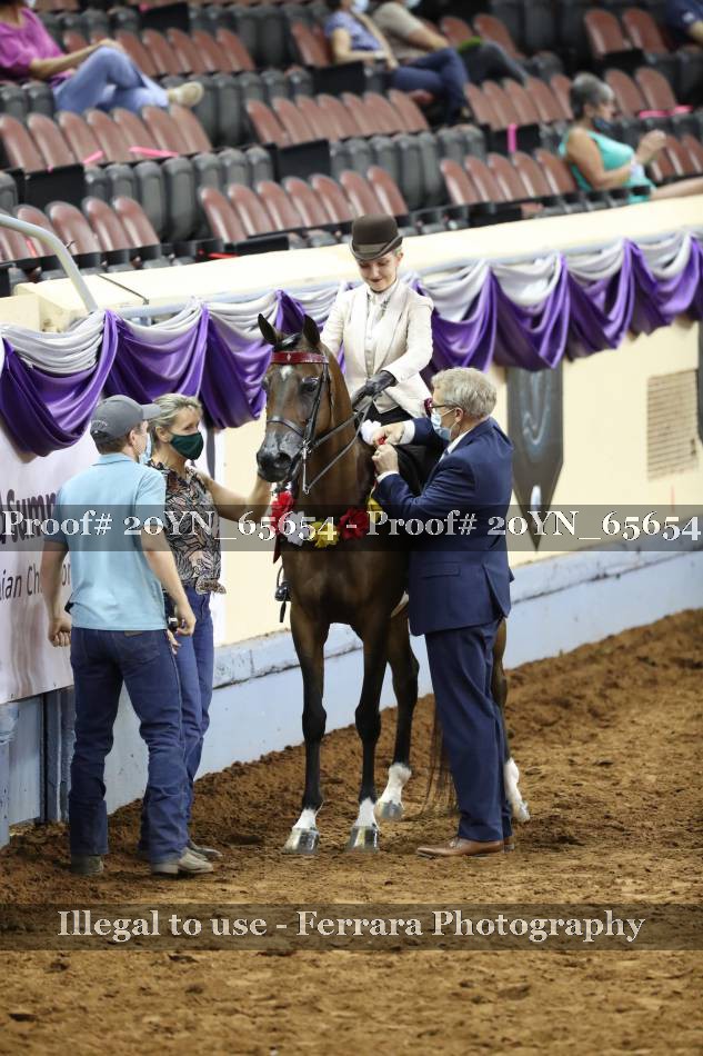 Proof 20YN_65654