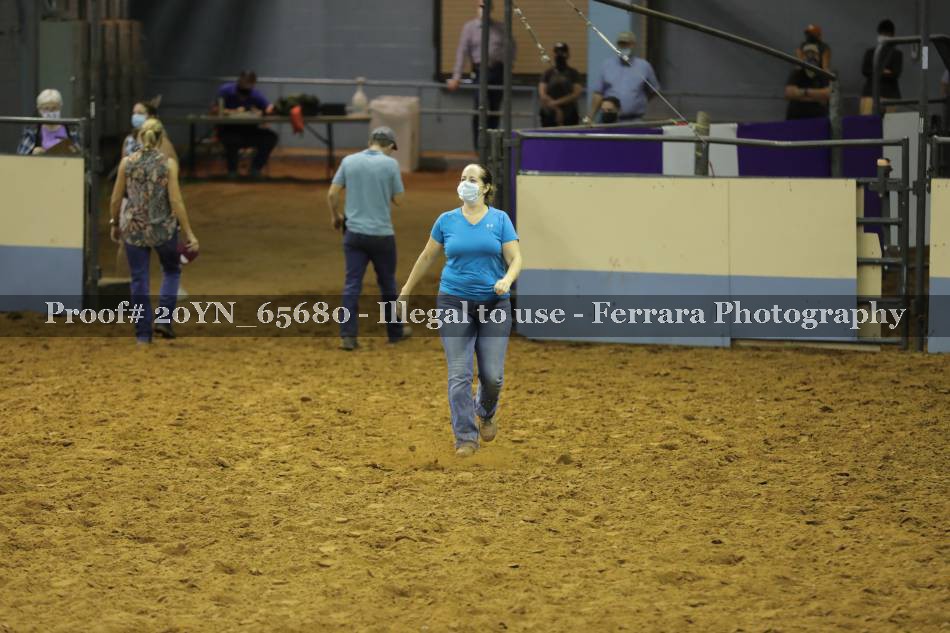Proof 20YN_65680