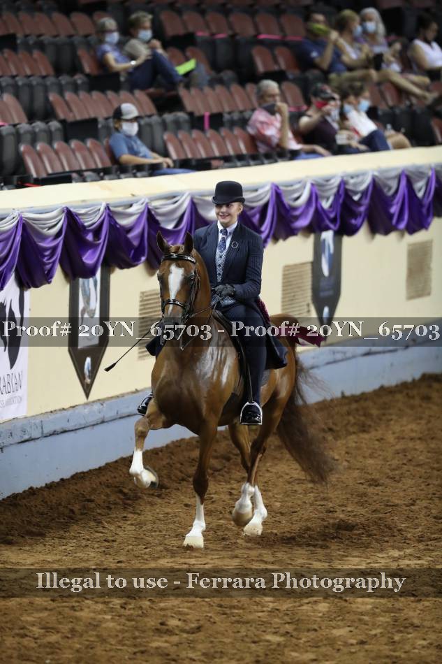 Proof 20YN_65703