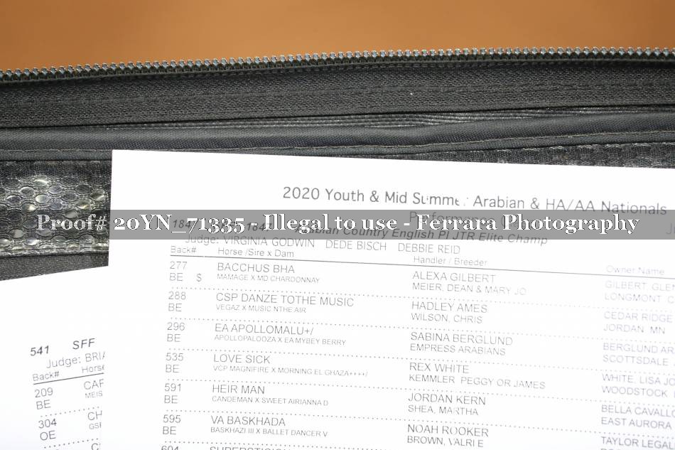 Proof 20YN_71335