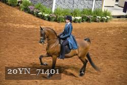 20YN_71401 proof