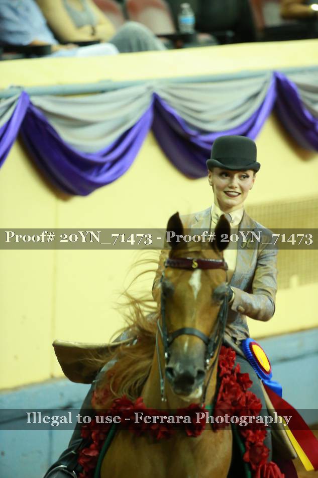 Proof 20YN_71473