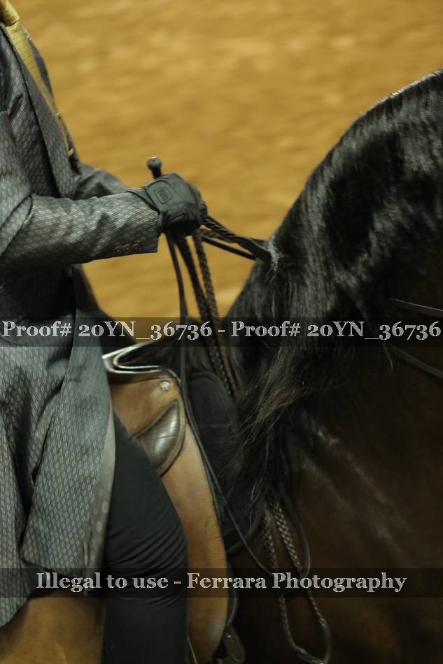 Proof 20YN_36736
