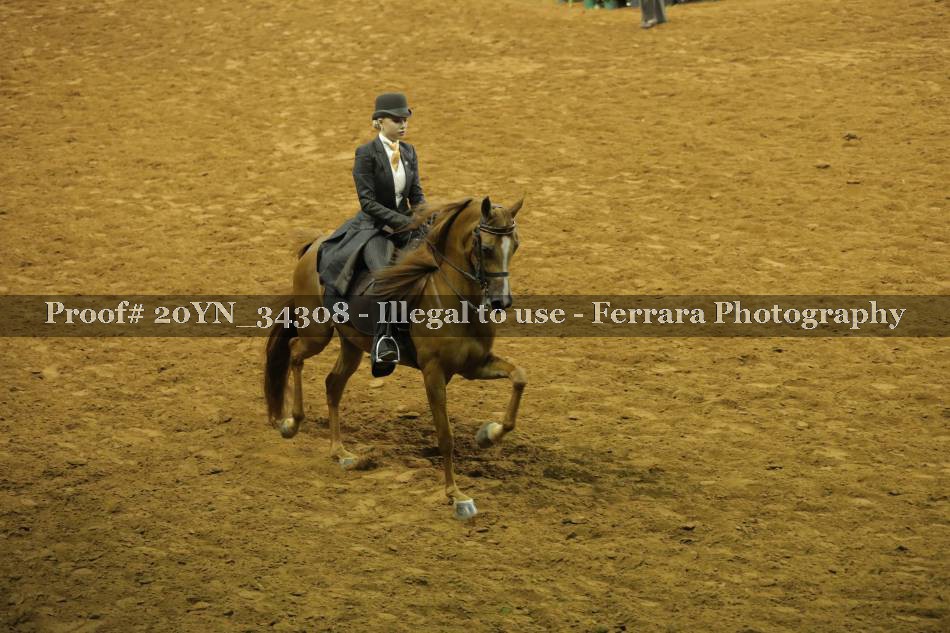 Proof 20YN_34308