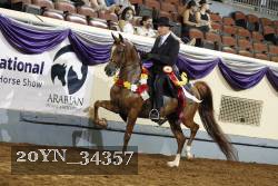 20YN_34357 proof