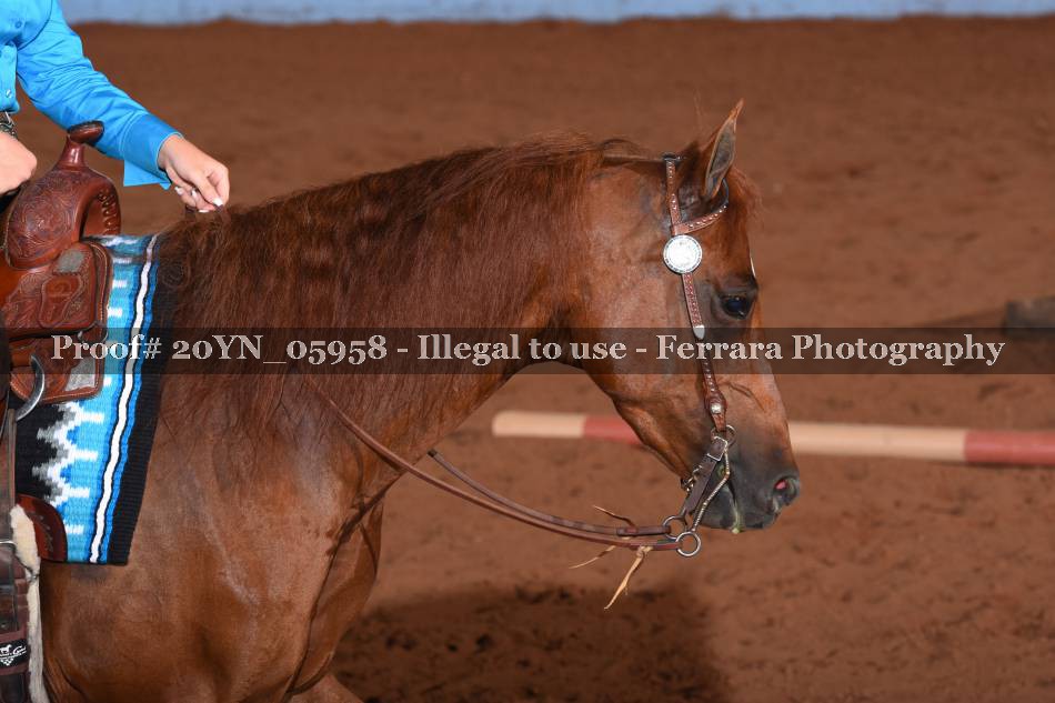 Proof 20YN_05958