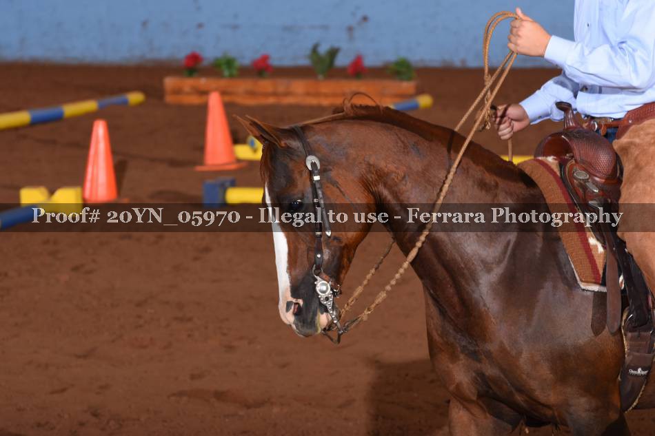 Proof 20YN_05970